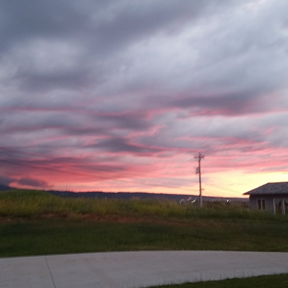 Meet your Posher, Katharine